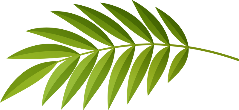 Tropical leaf