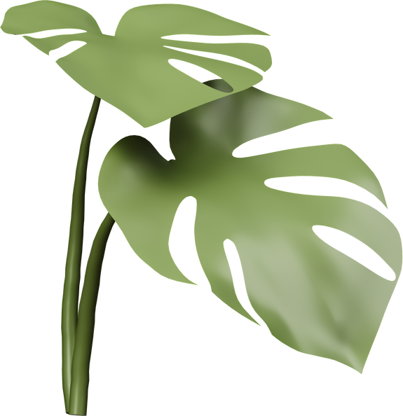 Transparent monstera palm leaf icon isolated 3d render illustration